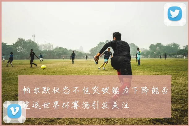 帕尔默状态不佳突破能力下降能否重返世界杯赛场引发关注