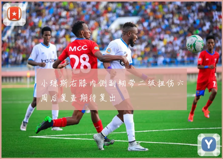 小琼斯右膝内侧副韧带二级扭伤六周后复查期待复出