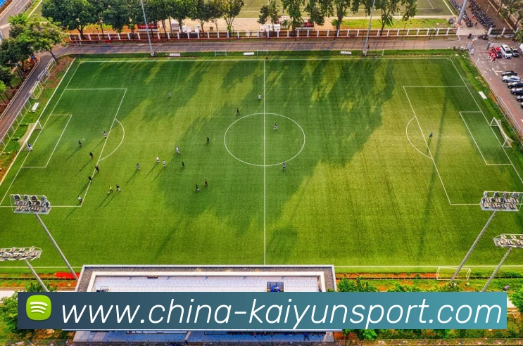 多媒体互动体验