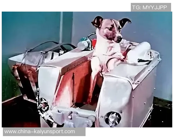 斯普利特遭受指责的背后真相或许只是他过于诚实的代价